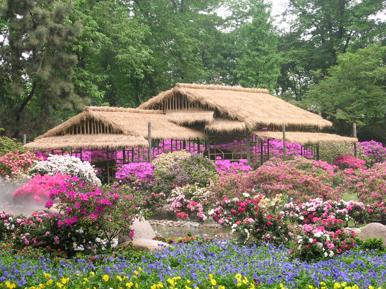 Jardin fleuri avec une maison en paille