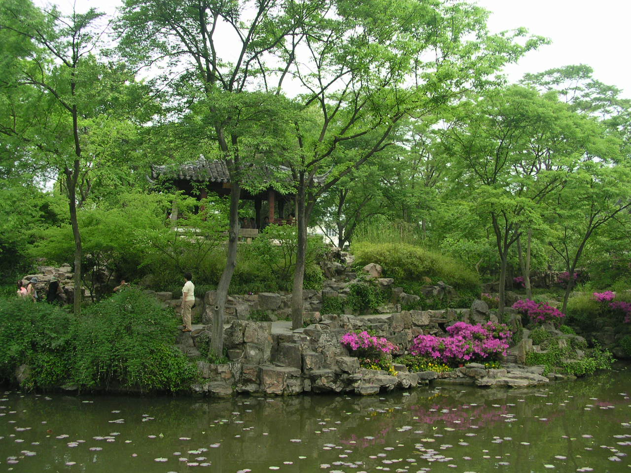 lac et jardin avec arbres