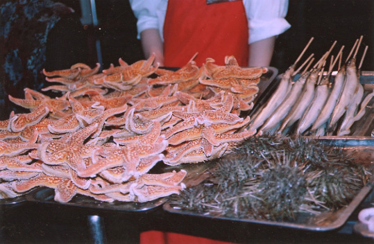 toiles de mer, oursins, poissons dans des barquettes