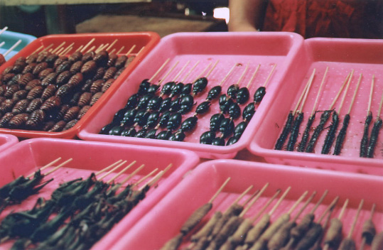 brochettes de scarabes, larves, serpents dans des barquettes