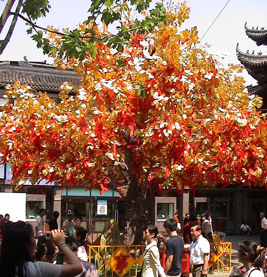 Arbre dore avec de nombreux rubans rouges accrochs dessus